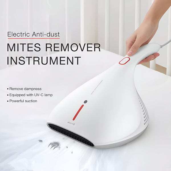 RAYCLEANER
