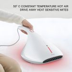 RAYCLEANER