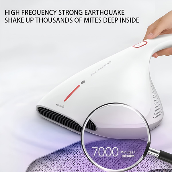 RAYCLEANER