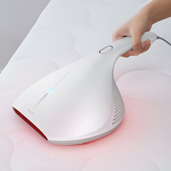 RAYCLEANER