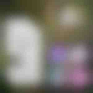 Microscop portabil pentru copii | MINISCOPE