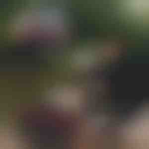 Geantă pliabilă pentru pescuit | RIBETINA