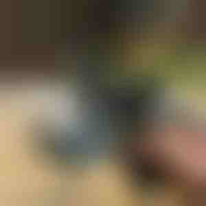 Suflantă de aer care îndepărtează instantaneu praful | JETRAZE