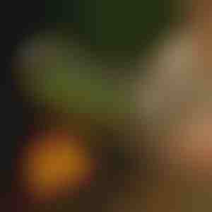 Coș rotativ pentru grătar | ROLOGRILL