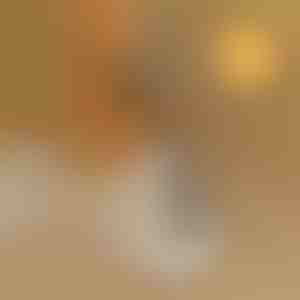 Accesoriu practic pentru încălțat fără efort și fără a te apleca | SHOEVA