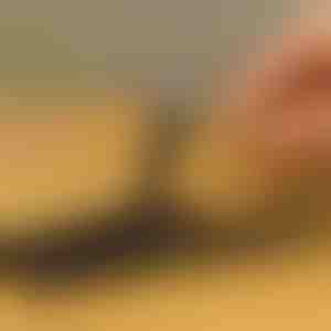 Set de extractoare pentru șuruburi, 10 piese | SCREWX