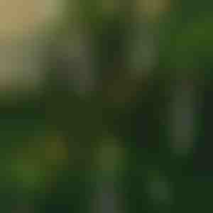 Lumânări fără flacără cu efect de pâlpâire (6 buc) | CANDLEA