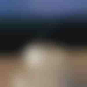 Difuzor de aromă calmant | MEDUSAMIST