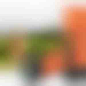 Dispozitiv ultrasonic de dresaj pentru animale de companie | WOOFSTOP