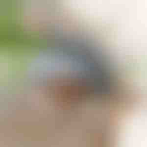 Jucărie interactivă pasăre care bate din aripi | CHIRRCAT