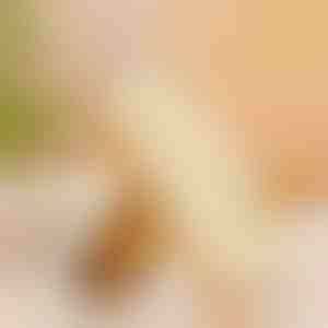 Perie din cauciuc pentru pantofi | RUBSHOE