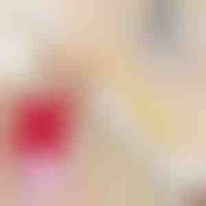 Șervețele pentru îndepărtarea petelor (20 buc.) | STAINIX